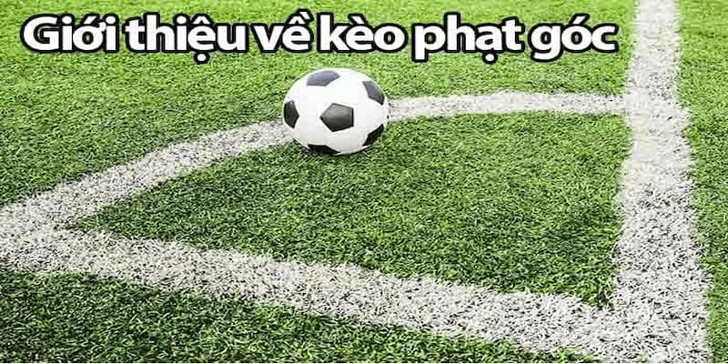 Kèo phạt góc là gì Tổng quan về kèo phạt góc là gì?